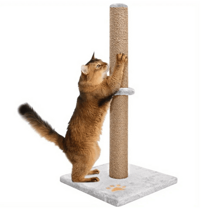 Grey Cat Scratcher Tower
