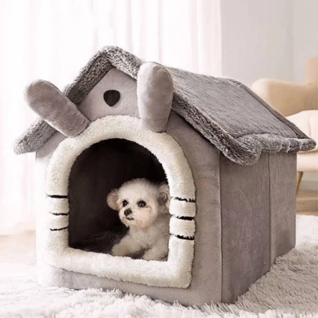 Pet Hideaway Bed For Cats Small Dogs