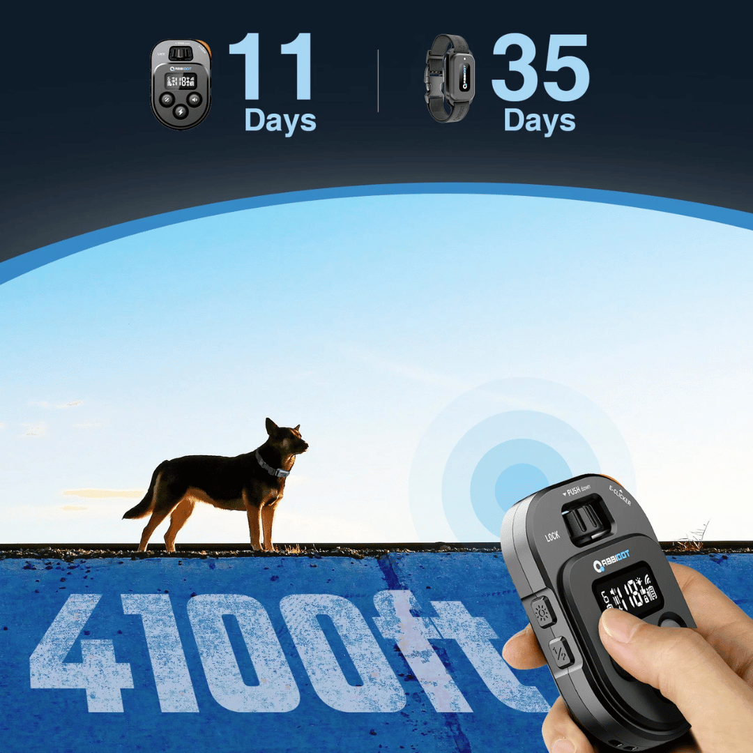 Remote Dog Training Collar System 1 Mile Range