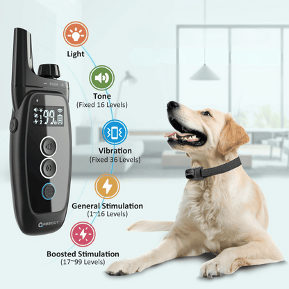 Long Distance Dog Training Collar Remote