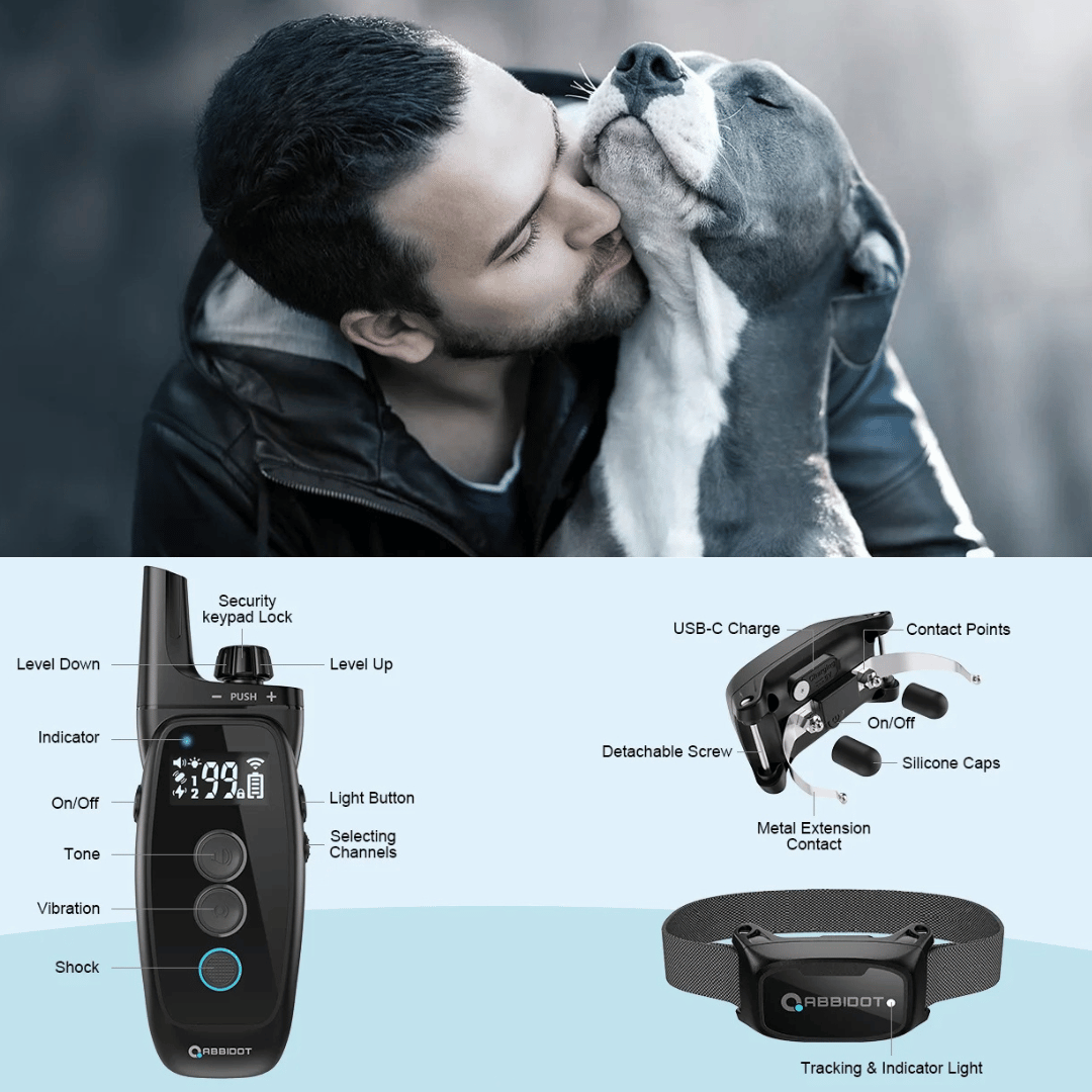 Long Distance Dog Training Collar Remote