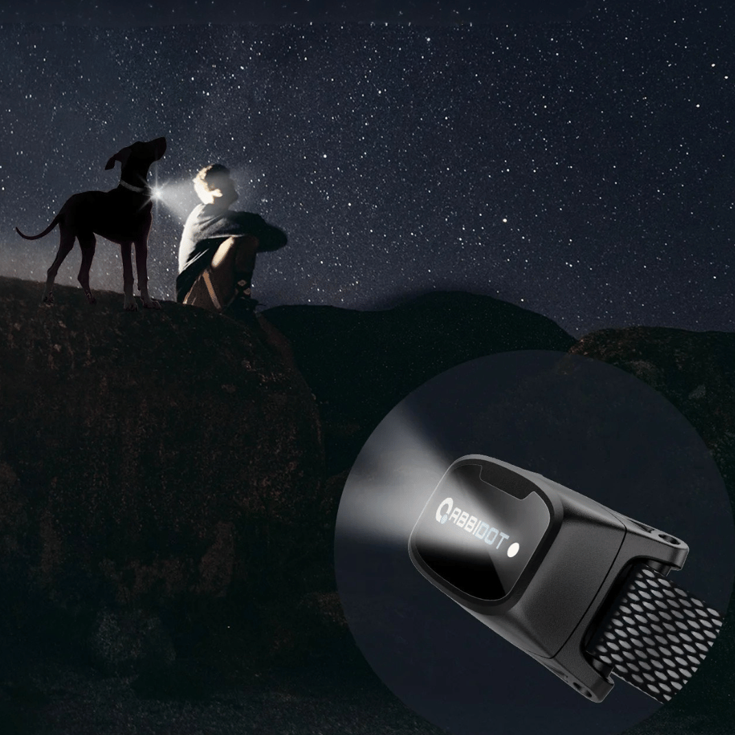 Long Distance Dog Training Collar Remote