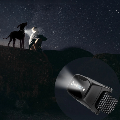 Long Distance Dog Training Collar Remote