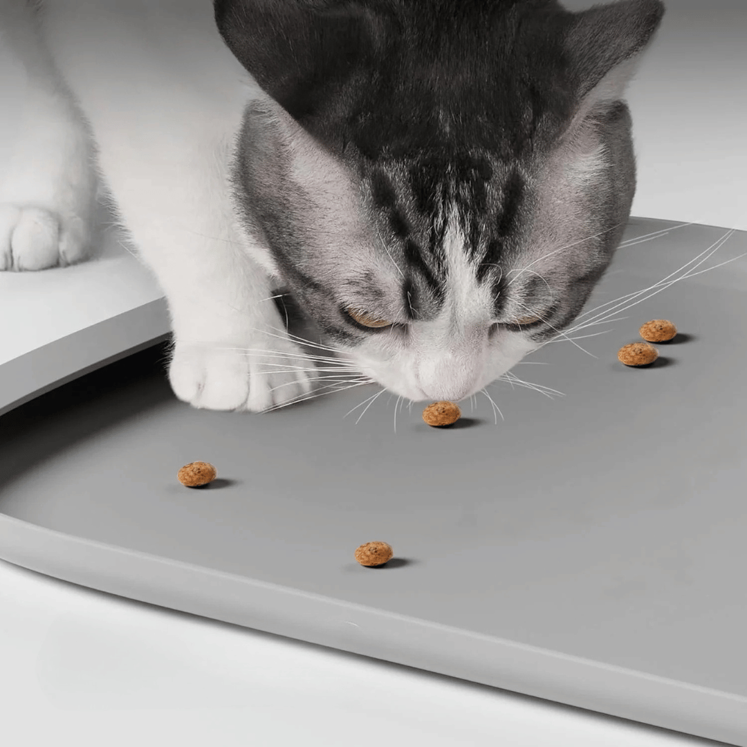 Pet Food Mat Spill Proof High Borders