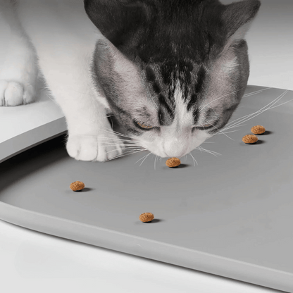 Pet Food Mat Spill Proof High Borders