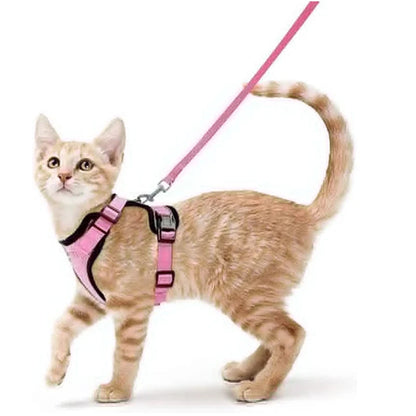 Cat Harness Leash Set Breathable Comfortable