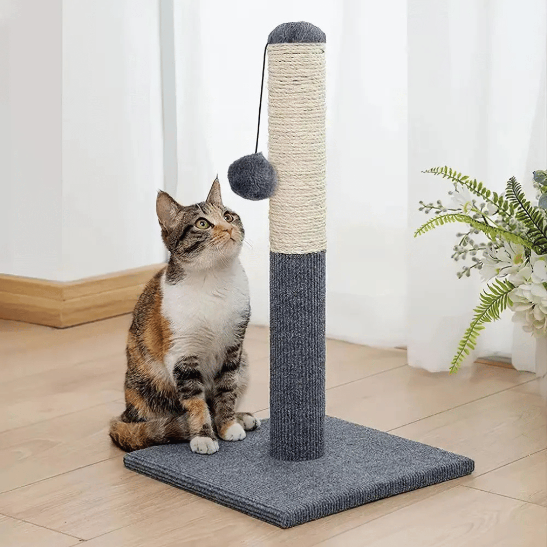Kitty Scratcher Post with Dangling Toy - Pupporia
