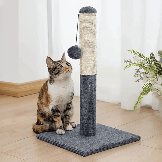 Kitty Scratcher Post with Dangling Toy - Pupporia