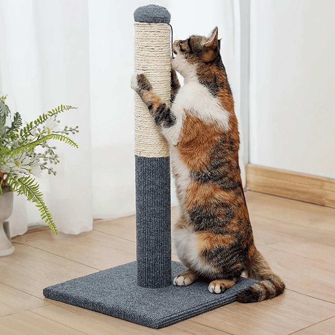 Kitty Scratcher Post with Dangling Toy