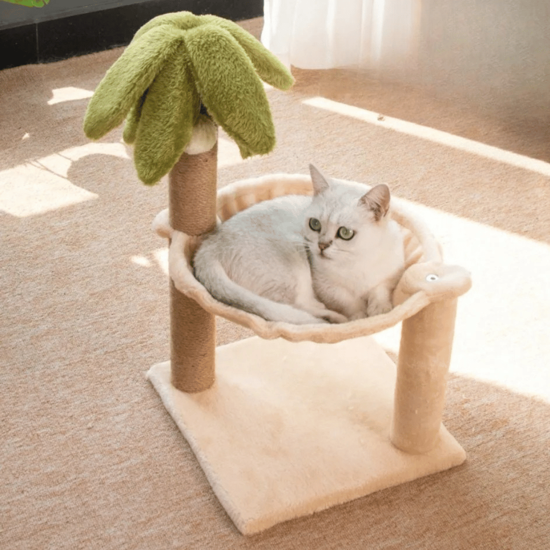 Cat Tree Scratcher Bed Wooden