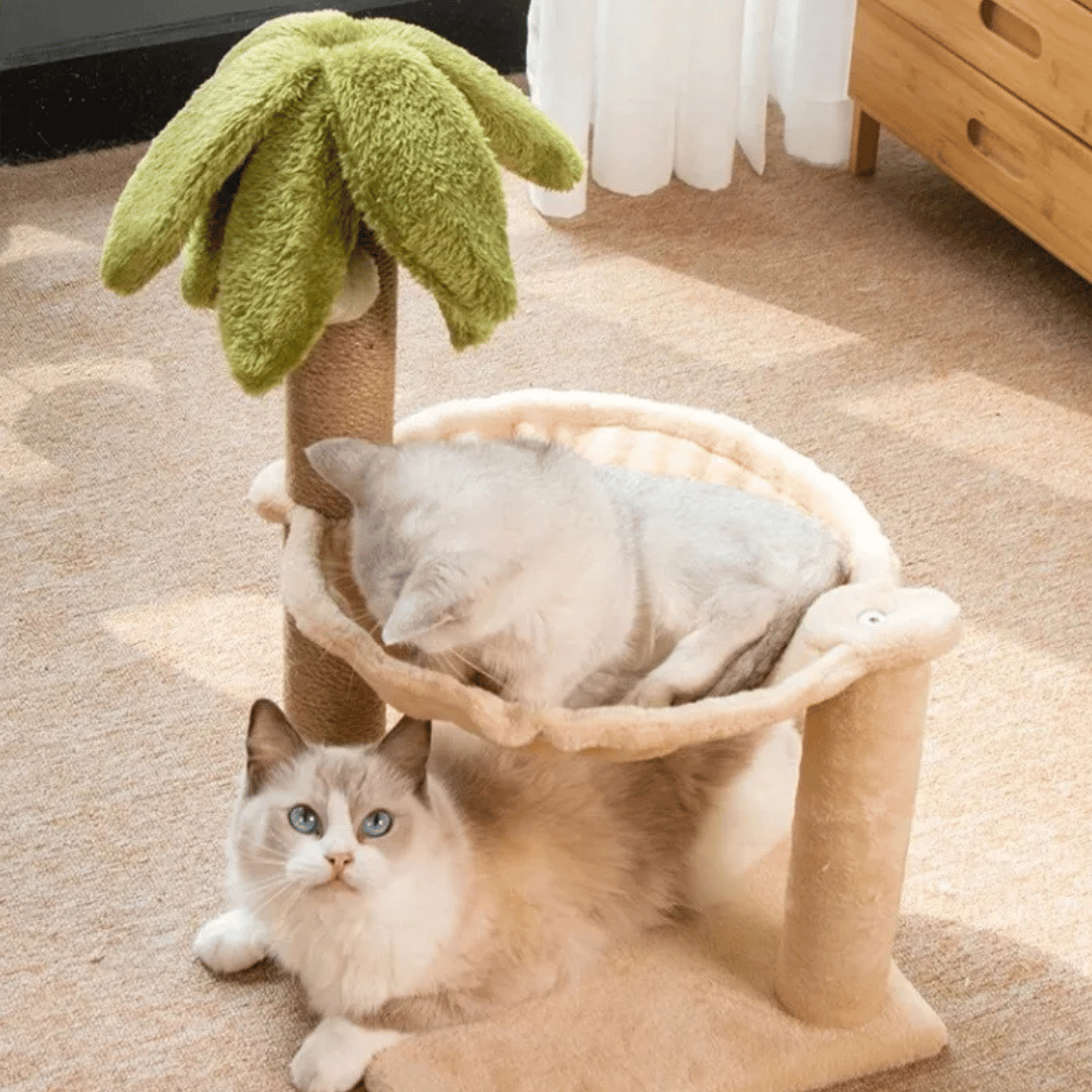 Cat Tree Scratcher Bed Wooden