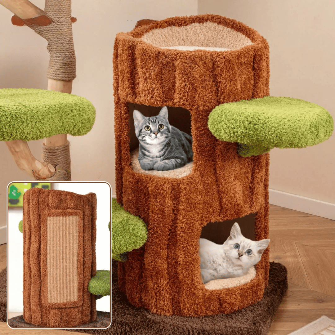 Cat Climbing Tower Multiple Perches Wooden