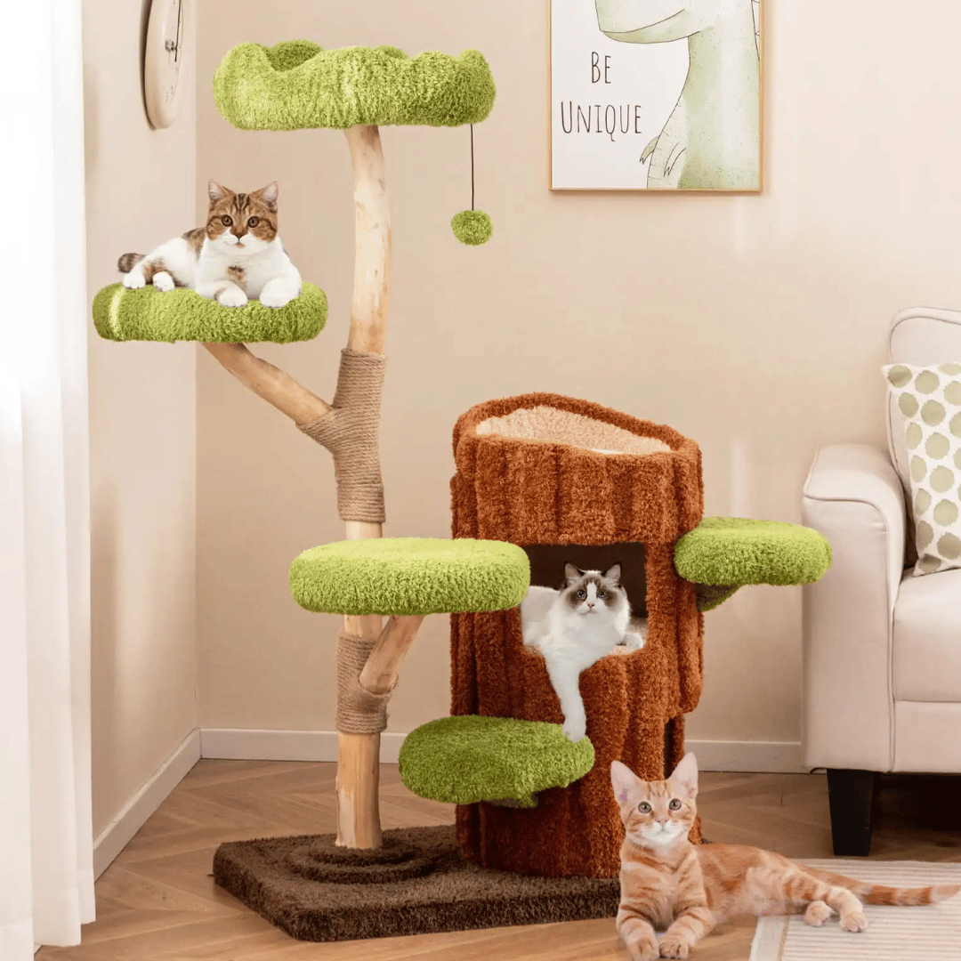 Cat Climbing Tower Multiple Perches Wooden