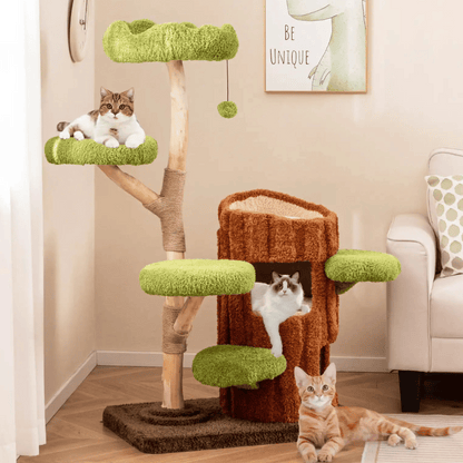Cat Climbing Tower Multiple Perches Wooden
