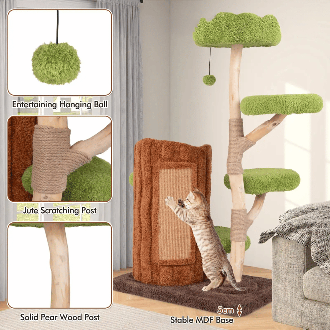 Cat Climbing Tower Multiple Perches Wooden