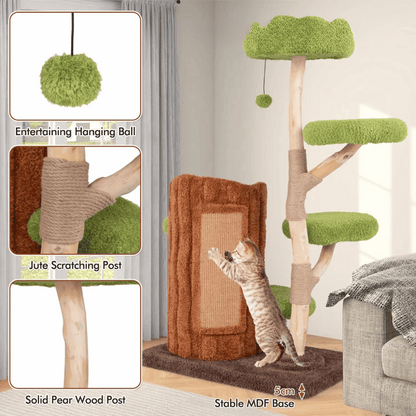 Cat Climbing Tower Multiple Perches Wooden