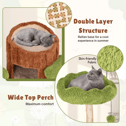Cat Climbing Tower Multiple Perches Wooden