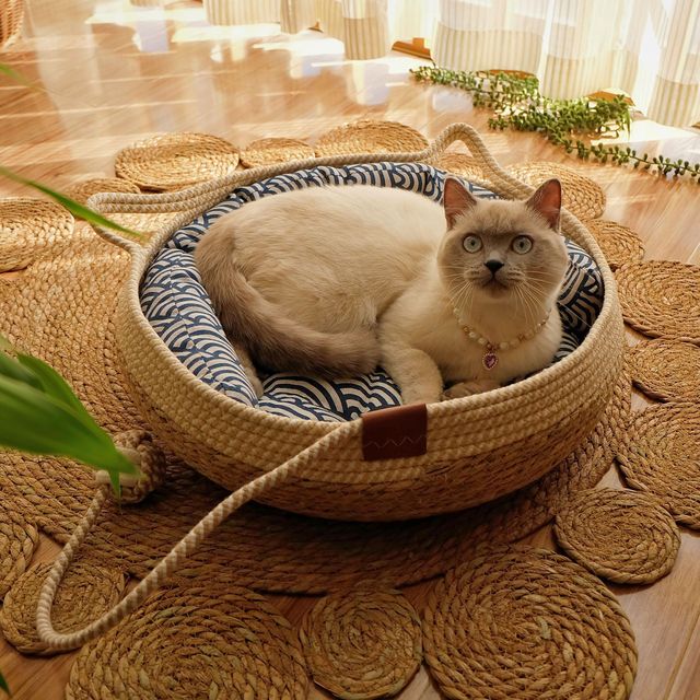 Pet Bed Basket Natural Fiber Plush Cushion