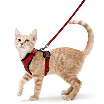 Cat Harness Leash Set Breathable Comfortable
