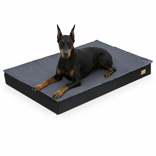 Orthopedic Dog Bed Mattress Plush Comfort Cover Large - Pupporia