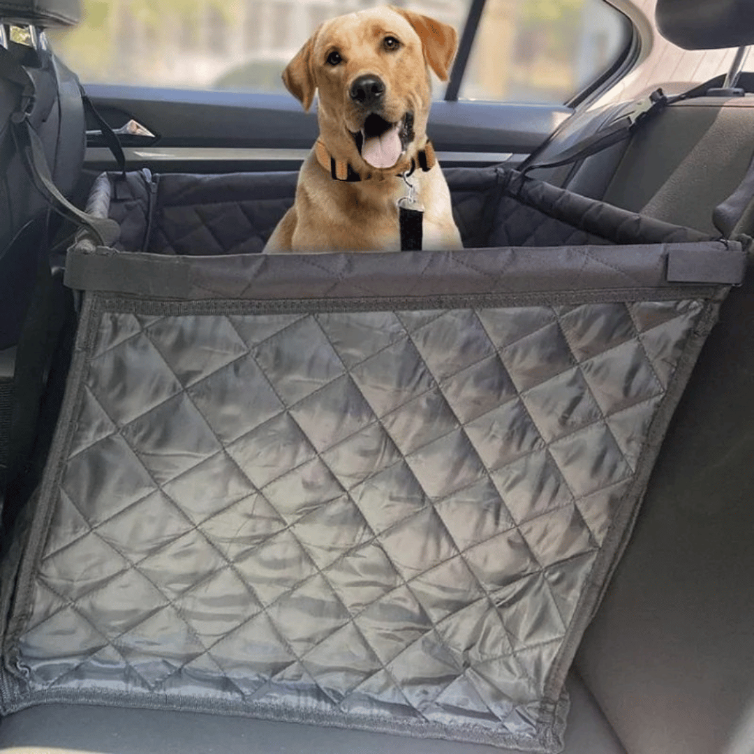 Durable Pet Car Safety Seat - Pupporia