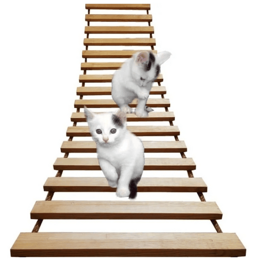 Wooden Cat Tower Wall Shelf Climber - Pupporia