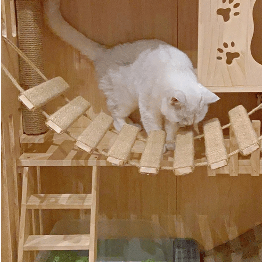 Wooden Cat Tower Wall Shelf Climber