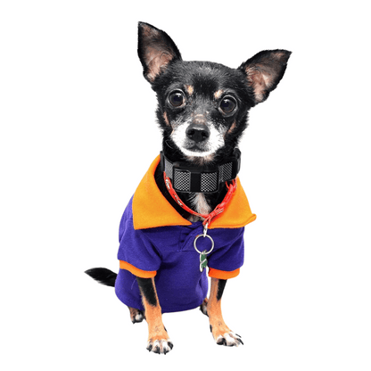 Remote Pet Training Collar Long Range Compact - Pupporia