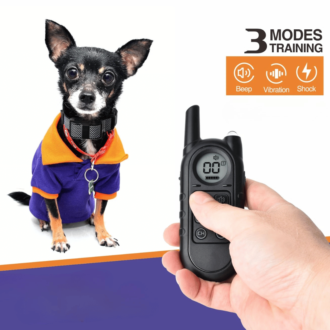 Remote Pet Training Collar Long Range Compact