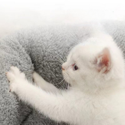 Pet Bed Pillow For Cats Small Dogs