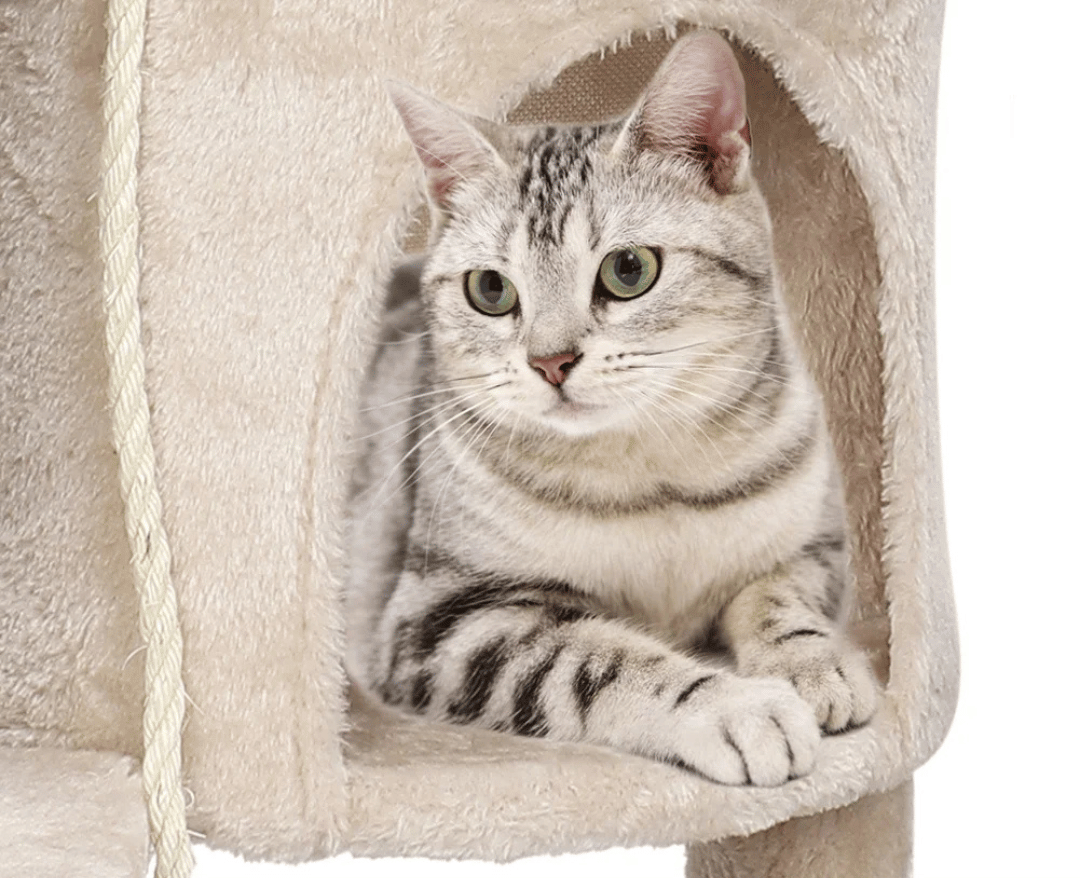 Beige Cat Tower Comfy Perches Hideaway