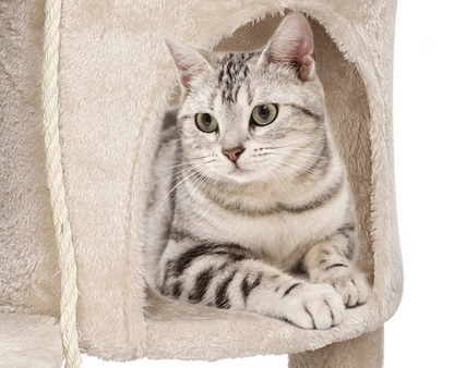 Beige Cat Tower Comfy Perches Hideaway