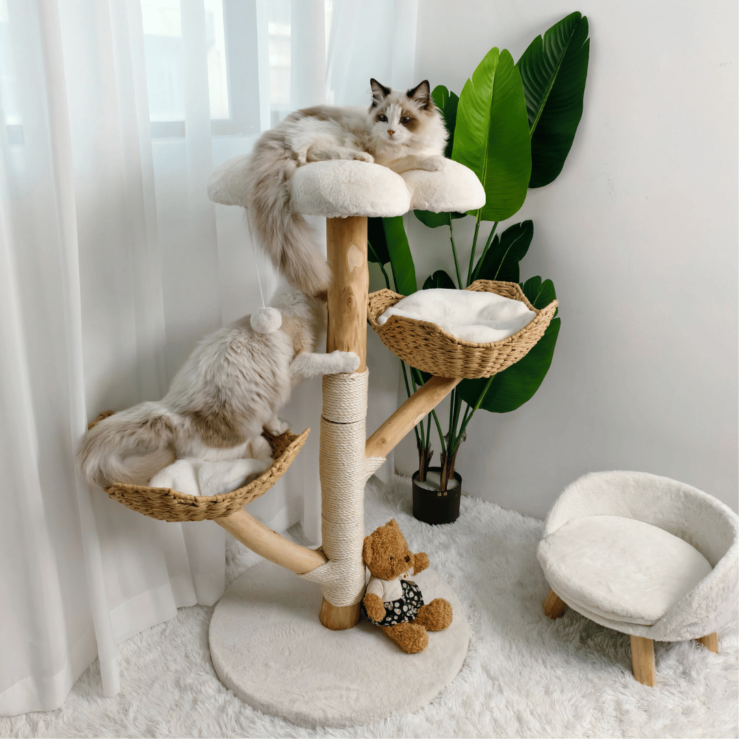 Wooden Cat Climber Scratch Post with Soft Perches