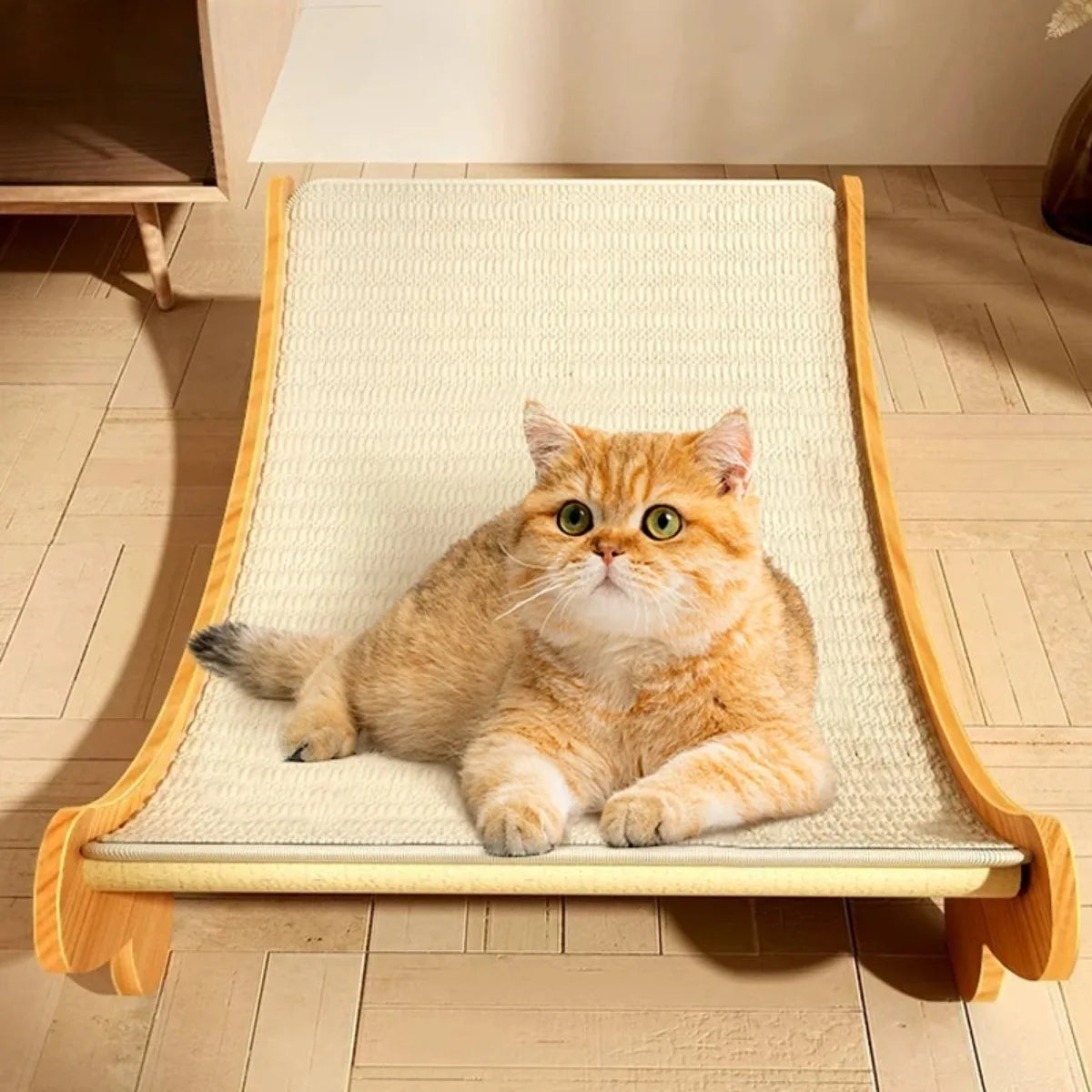 Wooden Cat Scratcher Bed - Pupporia