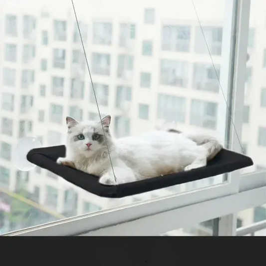 Cat Window Seat Perch - Pupporia
