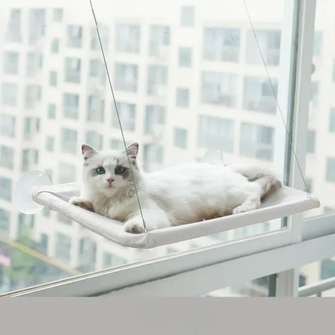 Cat Window Seat Perch