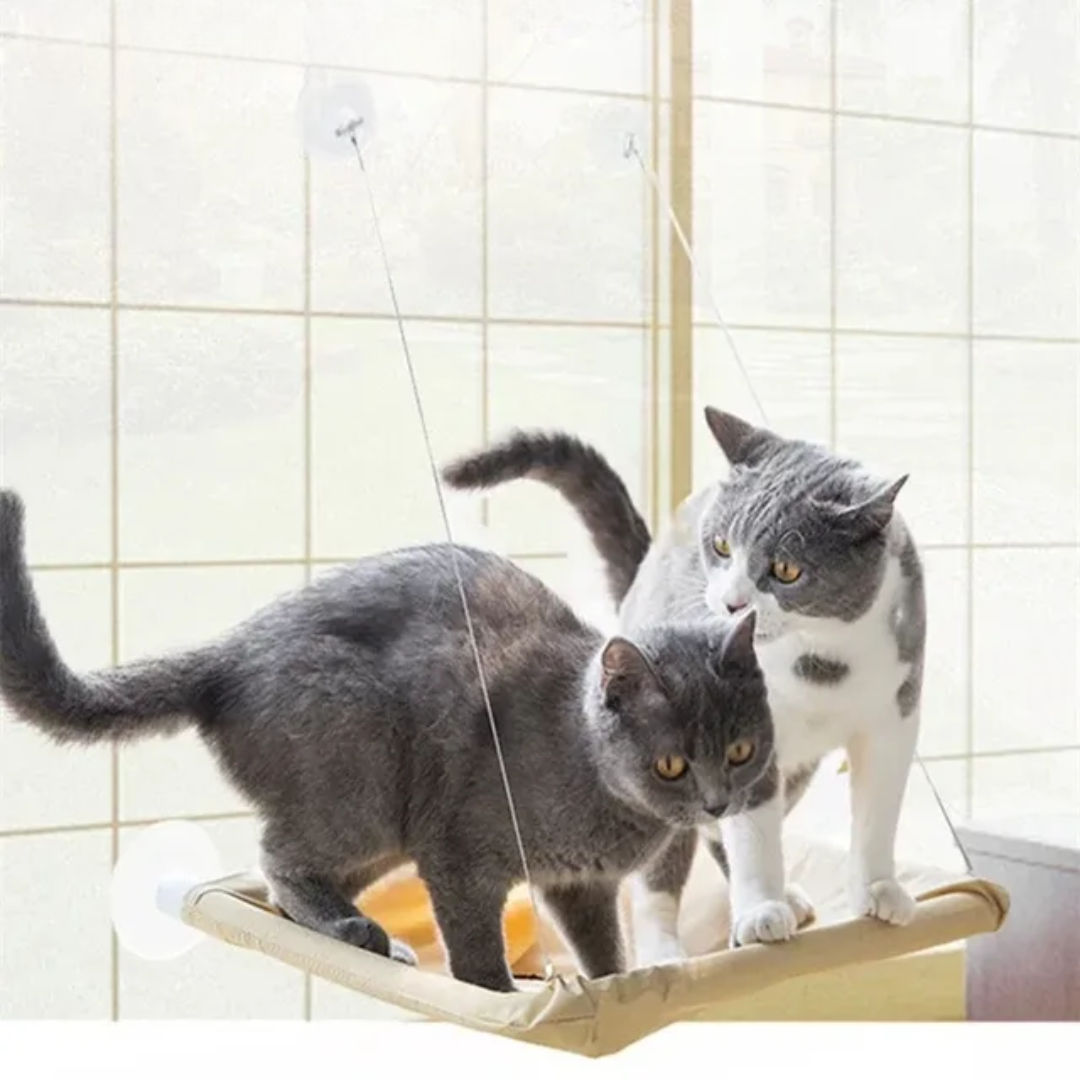 Cat Window Seat Perch