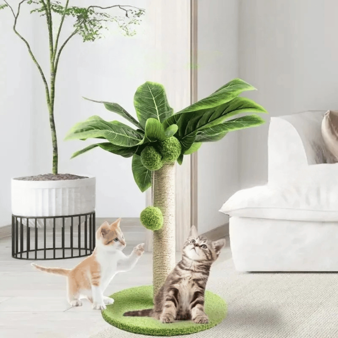 Cat Scratcher Tower Compact