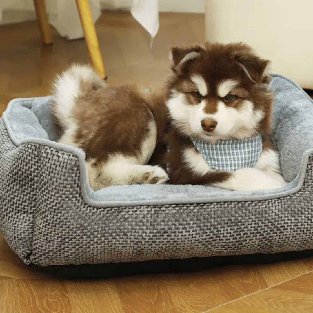 Orthopedic Small Pet Bed Plush
