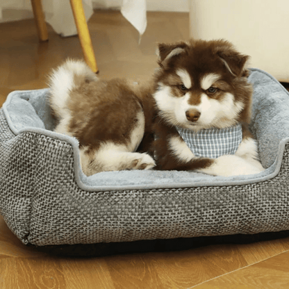 Orthopedic Small Pet Bed Plush