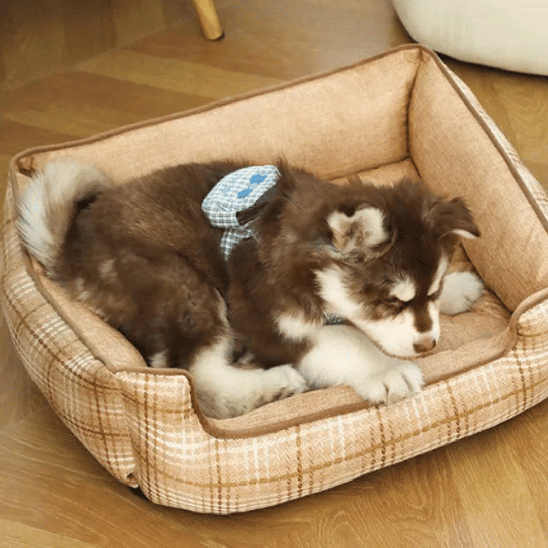 Orthopedic Small Pet Bed Plush