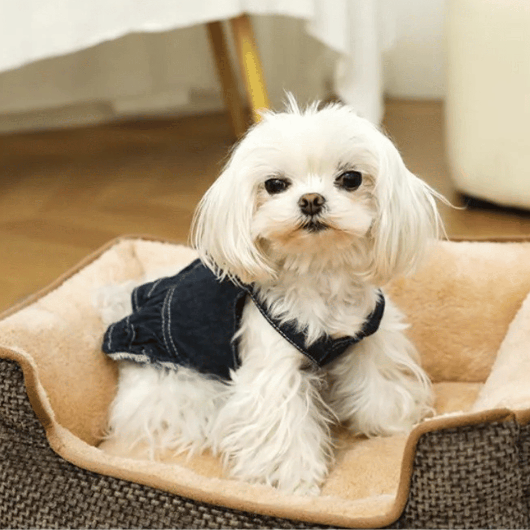 Orthopedic Small Pet Bed Plush