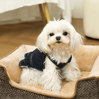 Orthopedic Small Pet Bed Plush