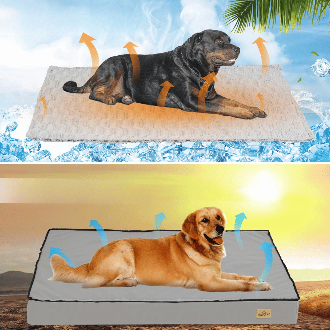 Large Dog Bed Soft Fleece Mattress