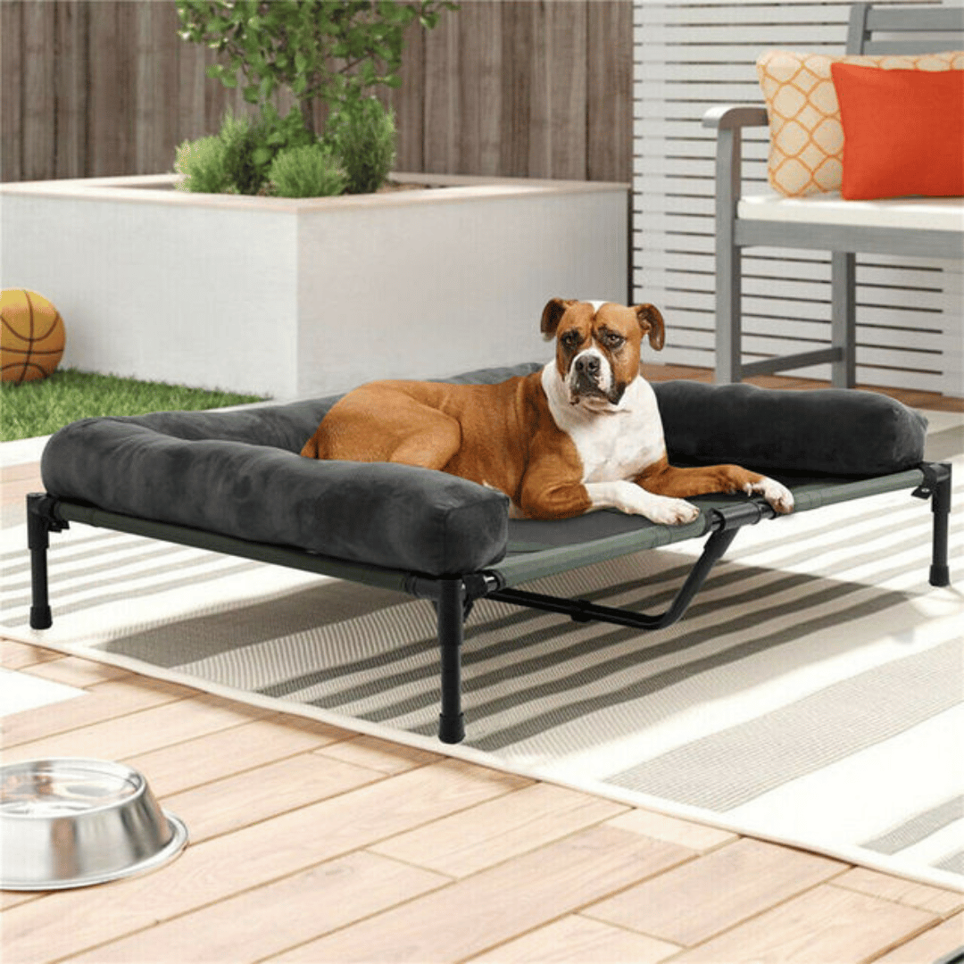 Orthopedic Dog Bed Extra Large Breeds