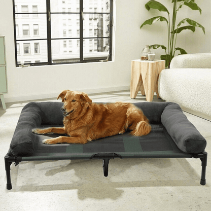Orthopedic Dog Bed Extra Large Breeds