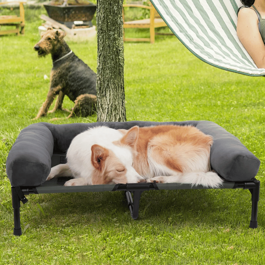 Orthopedic Dog Bed Extra Large Breeds