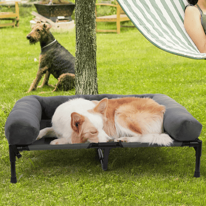 Orthopedic Dog Bed Extra Large Breeds