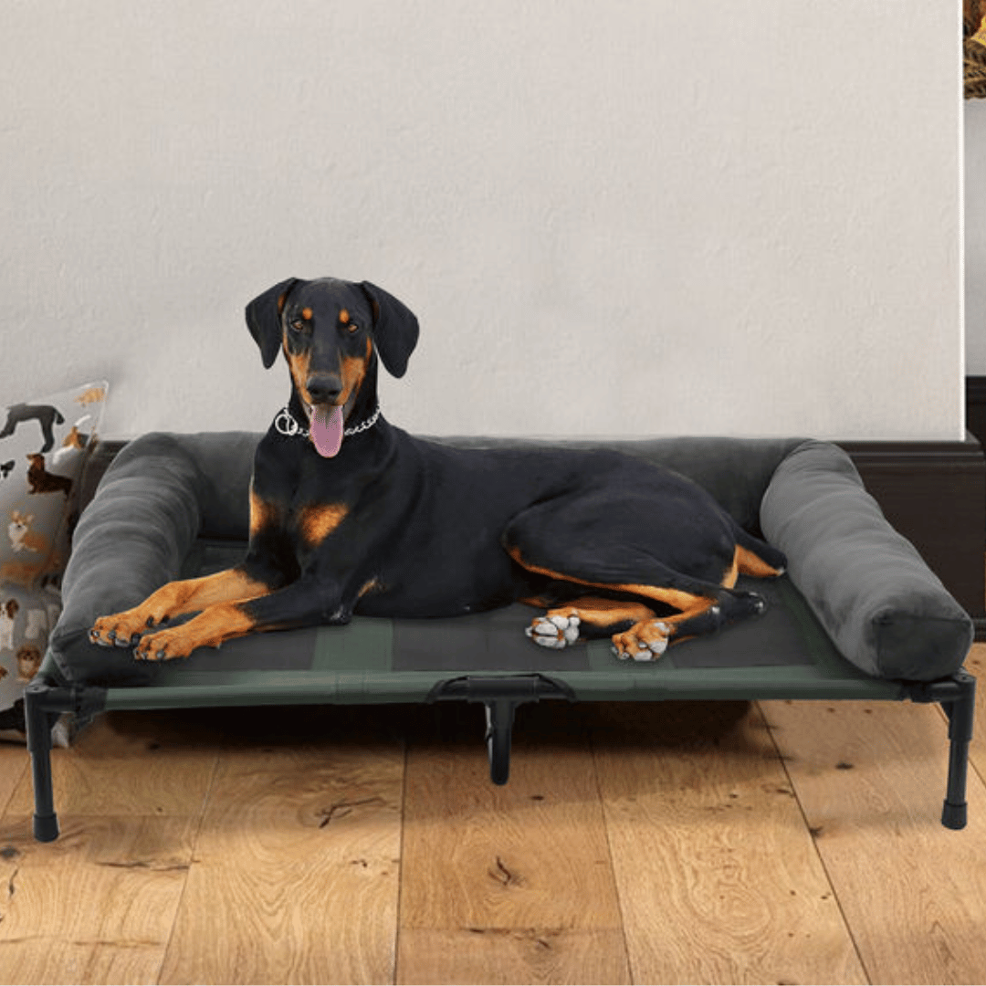 Orthopedic Dog Bed Extra Large Breeds