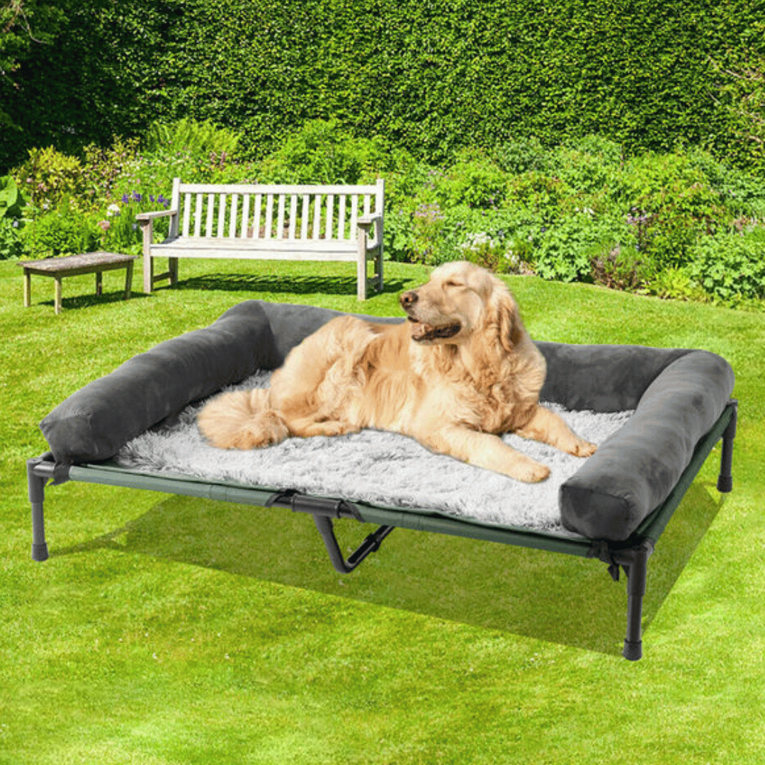 Orthopedic Dog Bed Extra Large Breeds